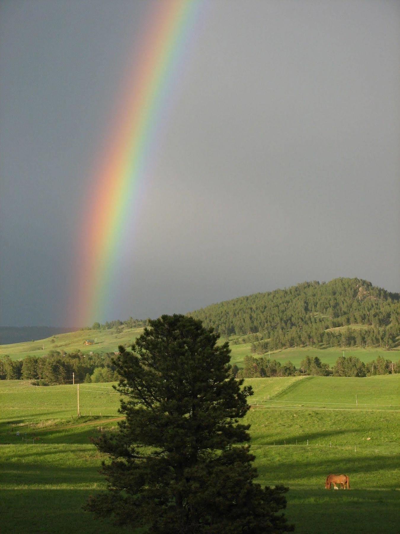 Sawin' Logs Inn Devils Tower ภายนอก รูปภาพ